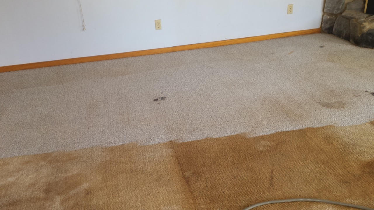 Home Page The Carpet Man